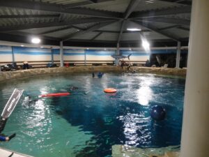Dive4Life in Siegburg